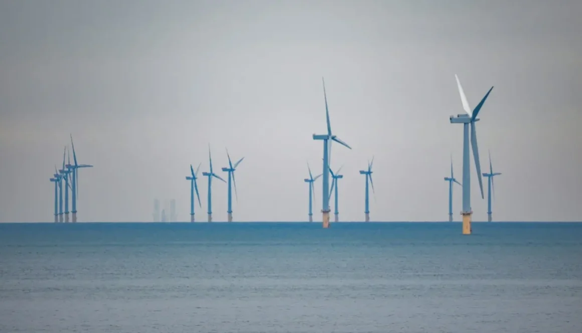 Havvindmøller står i havet under en grå himmel
