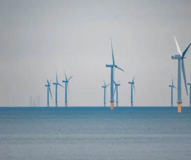 Havvindmøller står i havet under en grå himmel