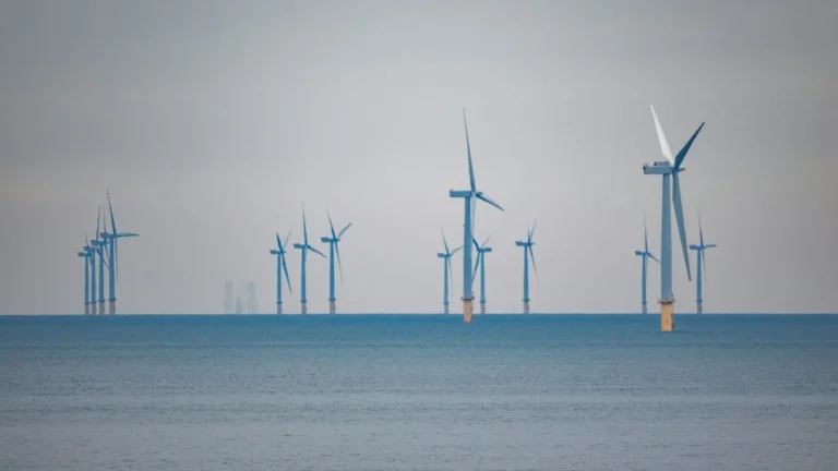Havvindmøller står i havet under en grå himmel